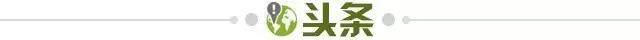 42af544d-a488-4176-8284-926739047560.jpg@!img01